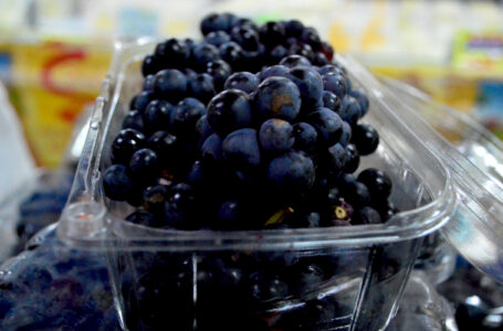 O Vinhedo Laudato Si, com o apoio da Suprave, promove vendas de uvas “Syrah”