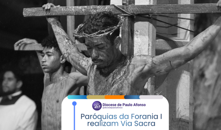 Decretos Site