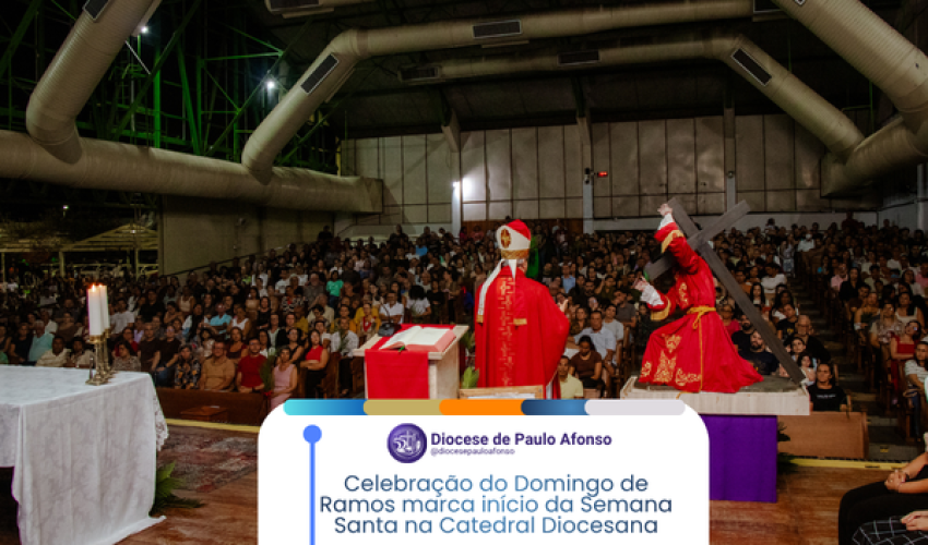 Decretos Site
